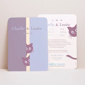Faire-part Naissance Portrait, bords arrondis Deux petits chatons