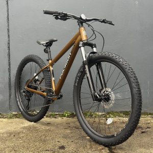 Polygon Cascade 5 2026 – Marron
